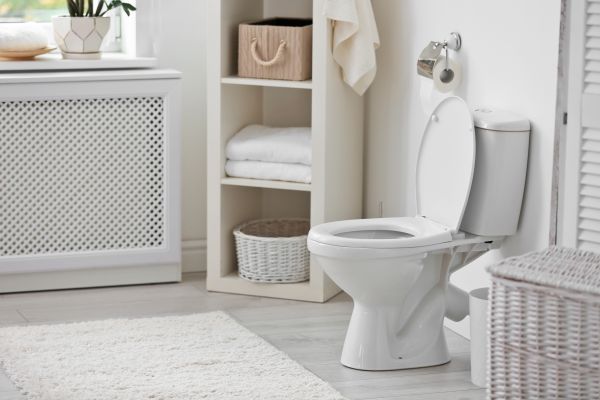 Toilet Backup Repair
